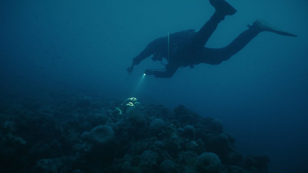 CAPM_preview_2.254.1